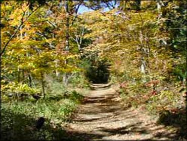 Georgetown-Rowley State Forest Trail