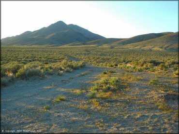 Example of terrain at Blue Mountain Trail