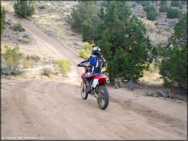 Fort Sage OHV Area Trail