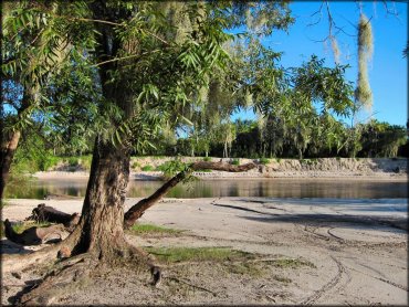 Peace River Campground Trail