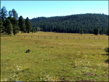 Camp Verde Trails