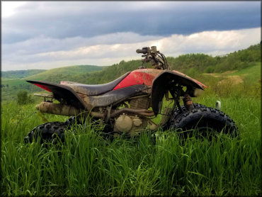 A Honda ATV Sitting in Tall Grass with a Scenic Background