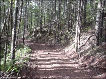 Terrain example at South Valley Resource Area Trail
