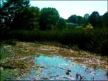 Tri-County Trails