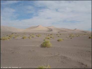 OHV at Amargosa Dunes Dune Area