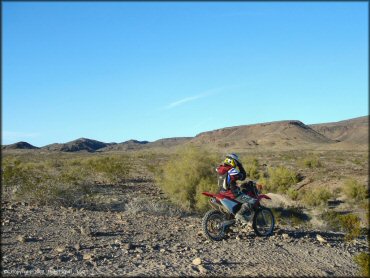 Honda CRF Motorcycle at Shea Pit and Osborne Wash Area Trail