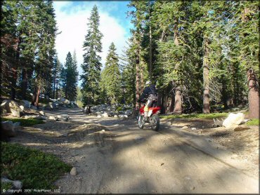 Honda CRF Dirtbike at Genoa Peak Trail