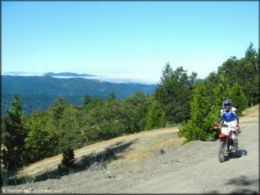 Girl riding a Honda CRF Motorcycle at Pilot Creek OHV Trails