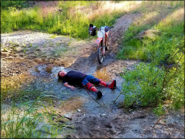 French Meadow Trail