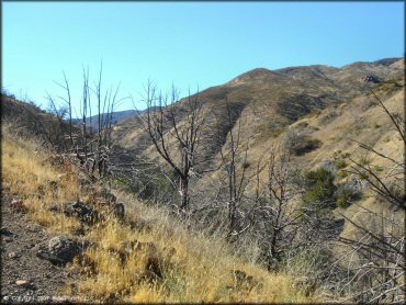 Scenic view at Frank Raines OHV Park Trail