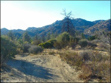 Scenery from Lake Arrowhead Trail