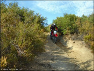 Rider on Honda CRF250X dirt bike navigating short downhill section of sandy ATV trail.