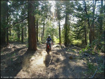 Honda CRF Motorcycle at Black Springs OHV Network Trail