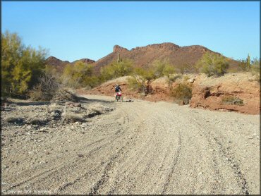 Honda CRF Dirtbike at Swansea Townsite Trail