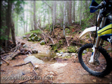 Foggy Dew Trail System