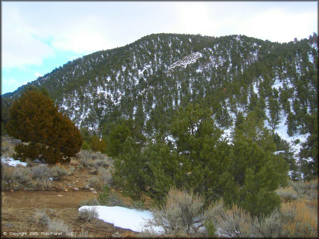 Old Sheep Ranch Trail