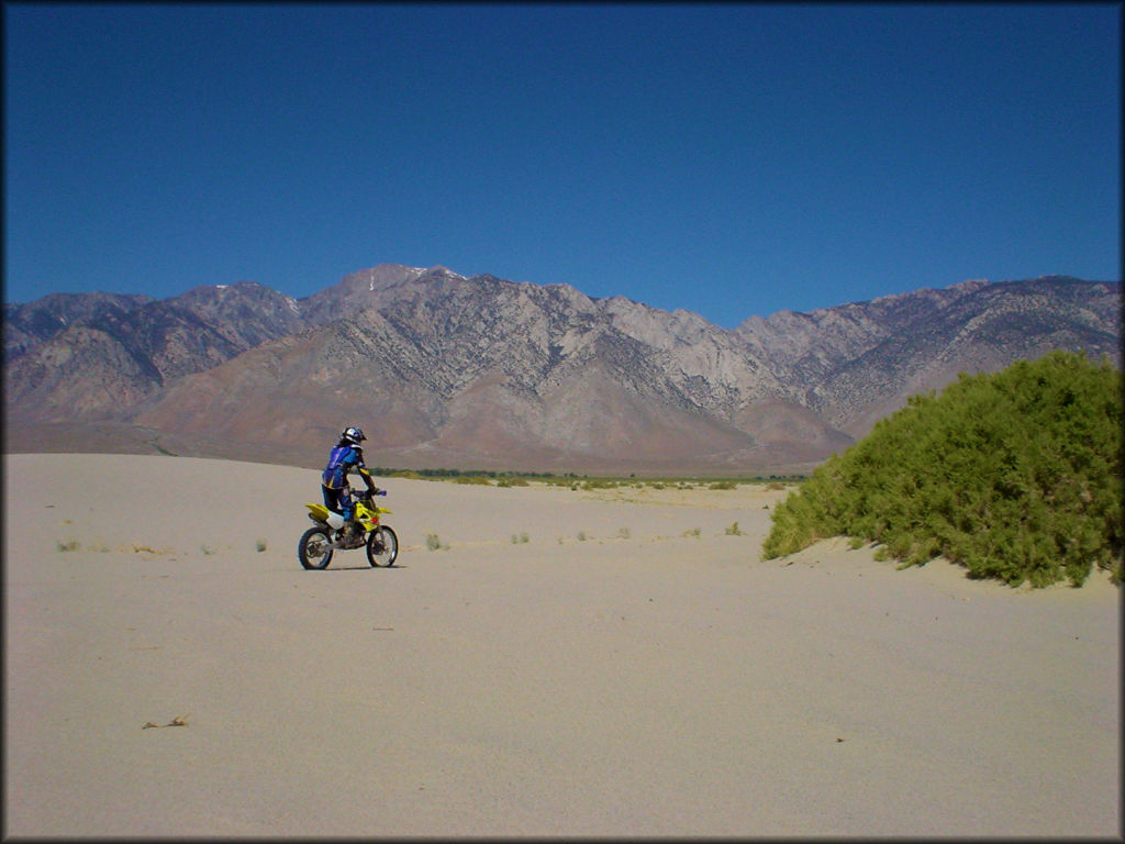 OHV at Olancha Dunes OHV Area