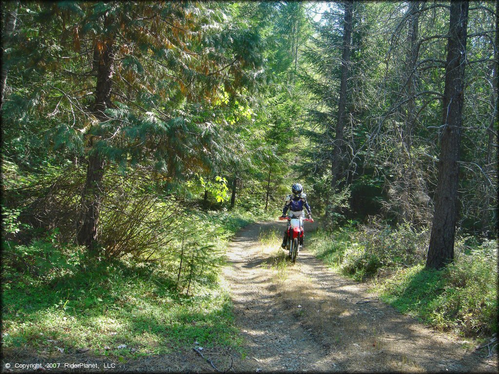 Woman riding a Honda CRF Dirt Bike at Lubbs Trail