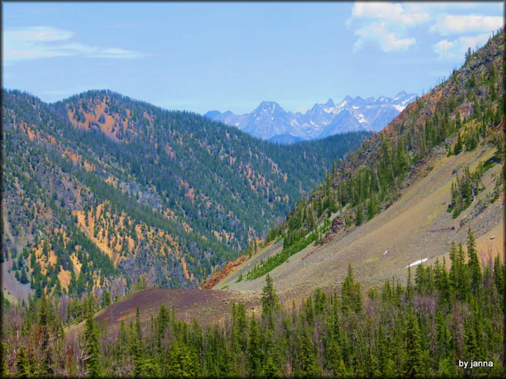 Wicked Creek ATV Trail