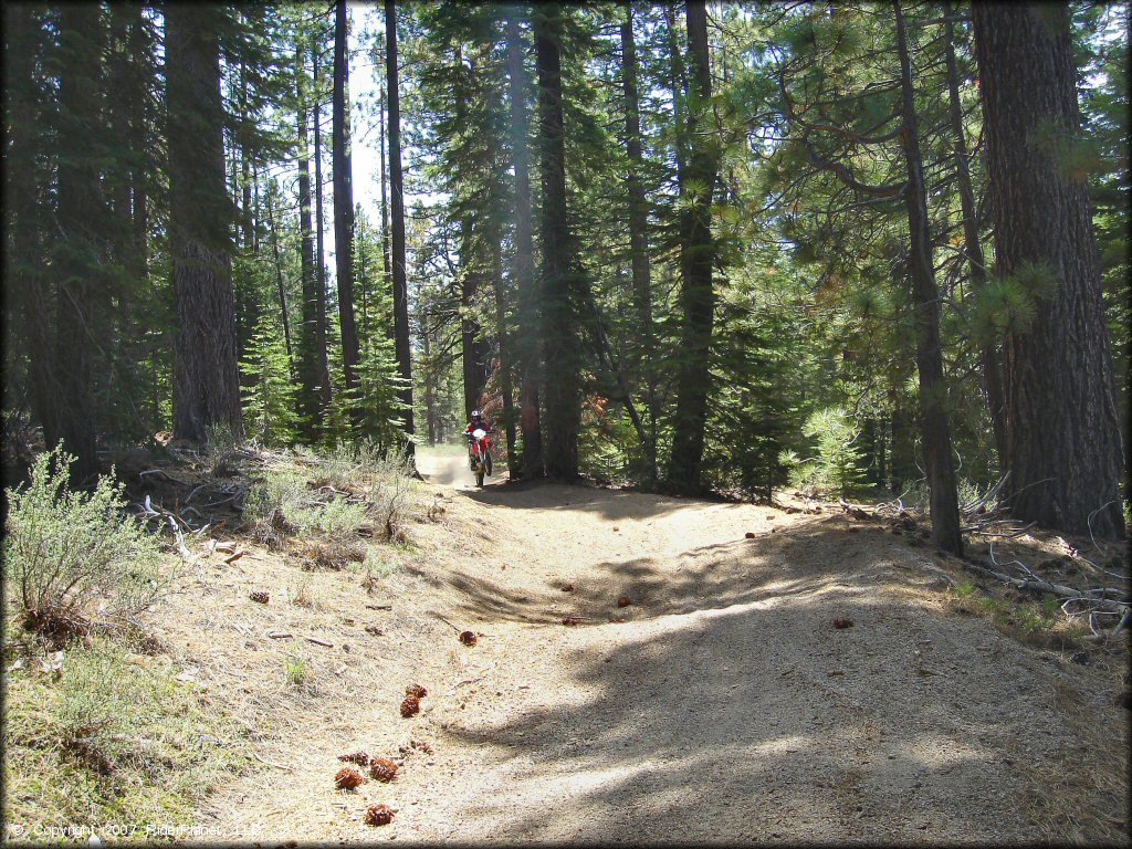 Honda CRF Motorcycle doing a wheelie at Twin Peaks And Sand Pit Trail