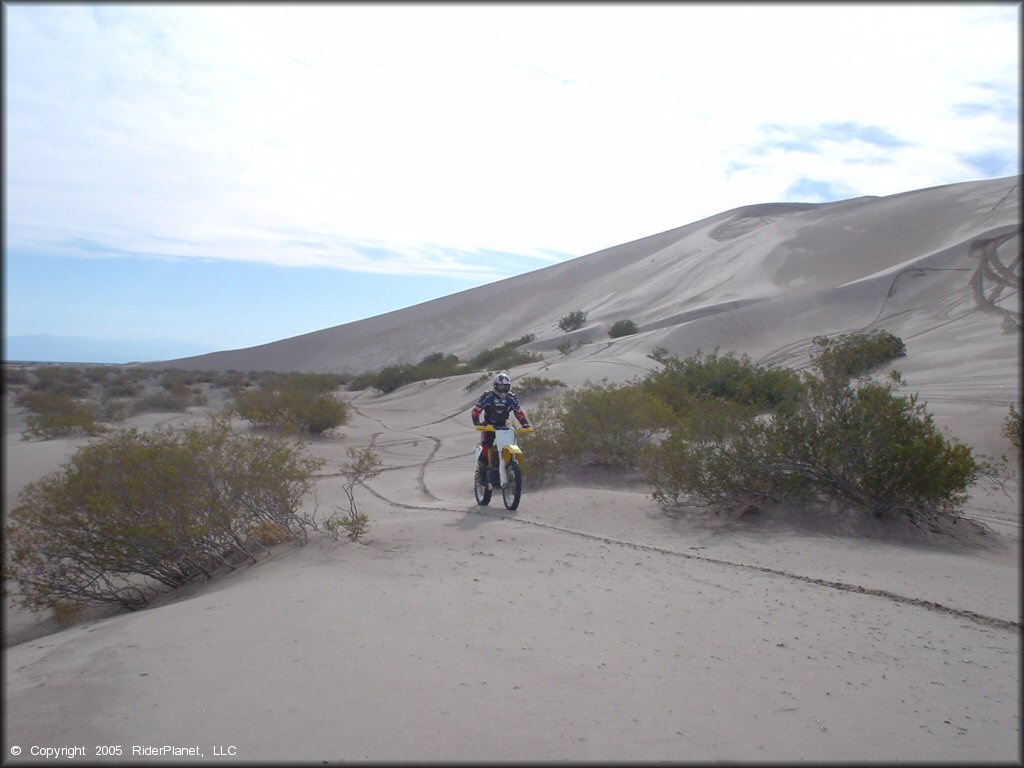 OHV at Amargosa Dunes Dune Area