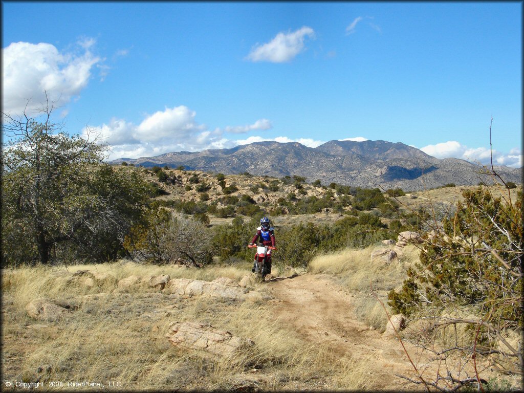 Honda CRF Motorcycle at Redington Pass Trail