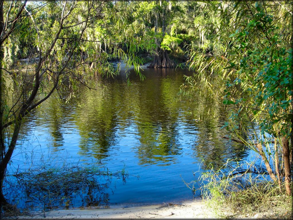 Peace River Campground Trail