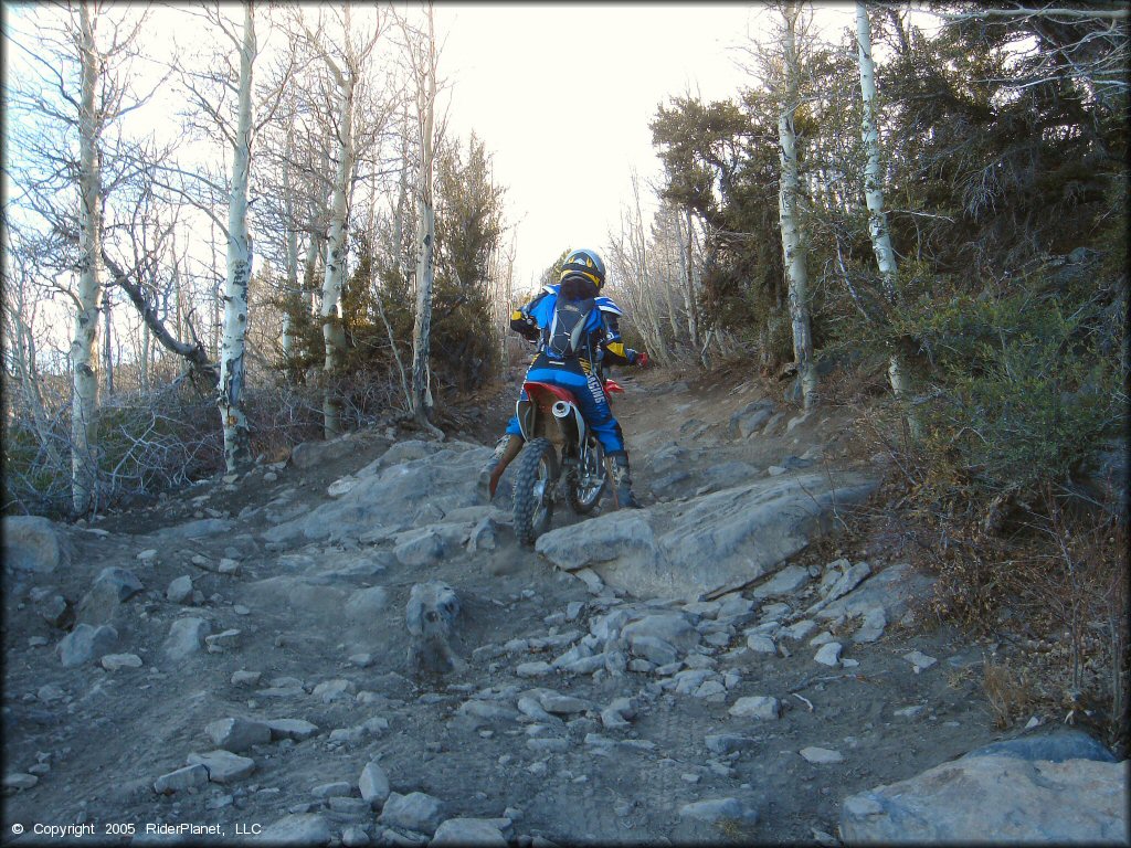 Honda CRF Motorbike at Hunter Lake Trail