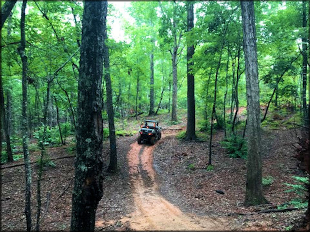 Parson's Mountain Recreation Area Trail