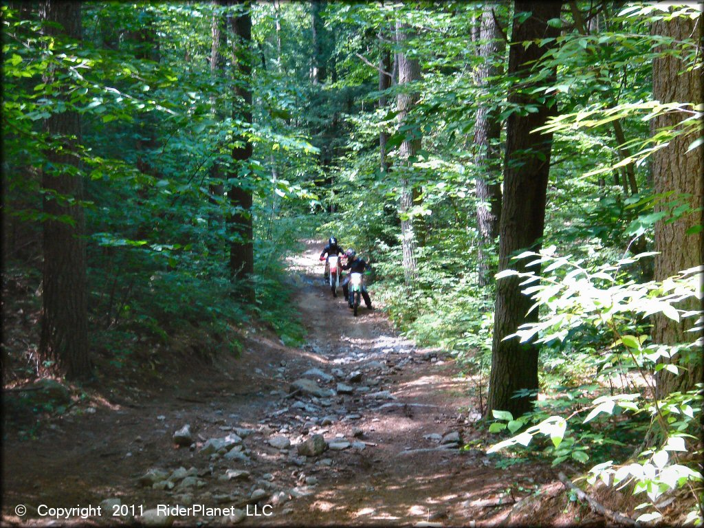 Kawasaki KX Motorcycle at Pisgah State Park Trail