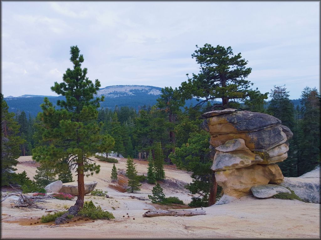 Big Meadows Trail