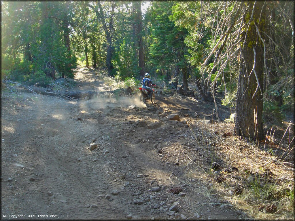 Honda CRF Dirt Bike at Black Springs OHV Network Trail
