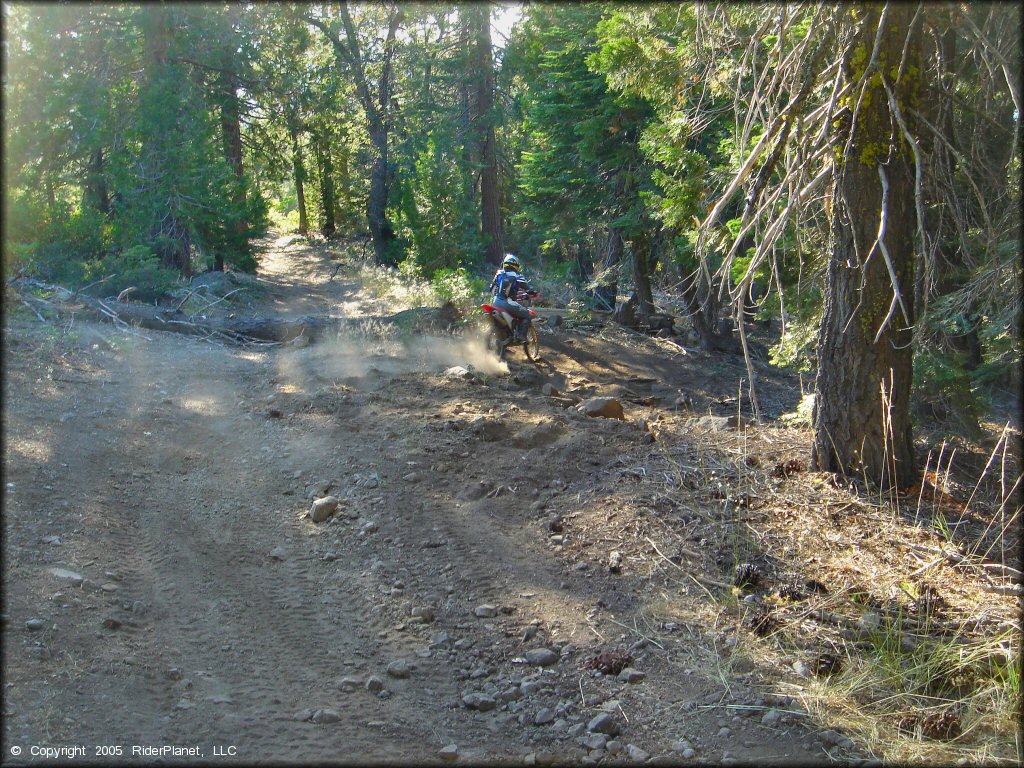 Honda CRF Dirtbike at Black Springs OHV Network Trail