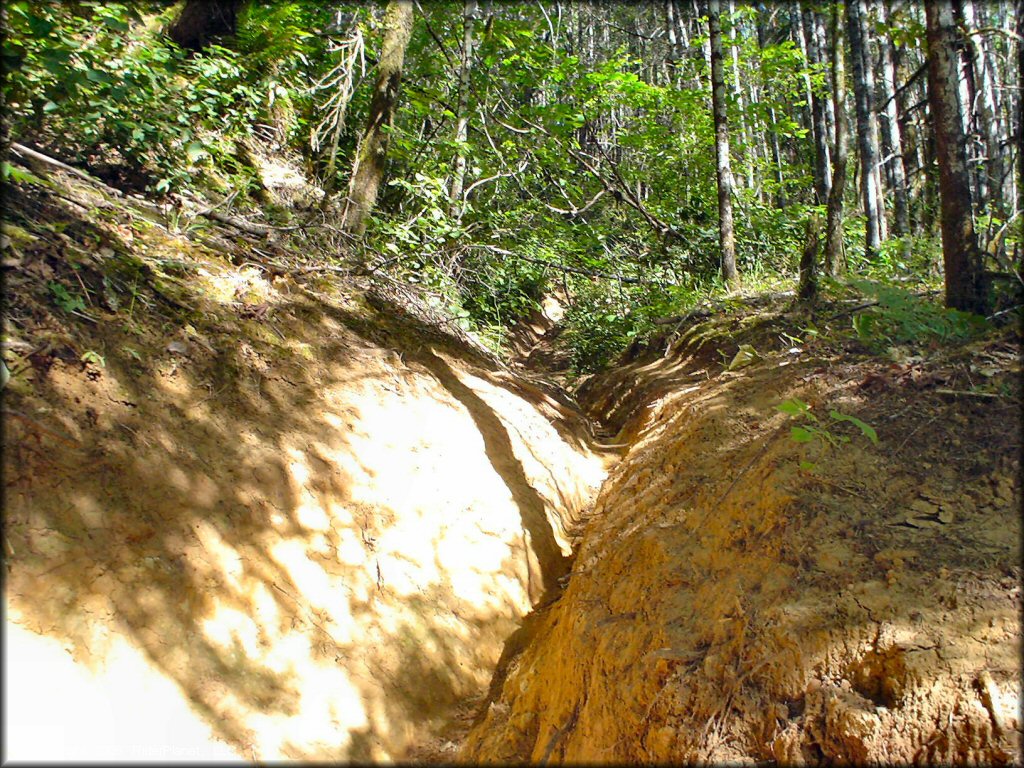 A trail at Low Pass Trail