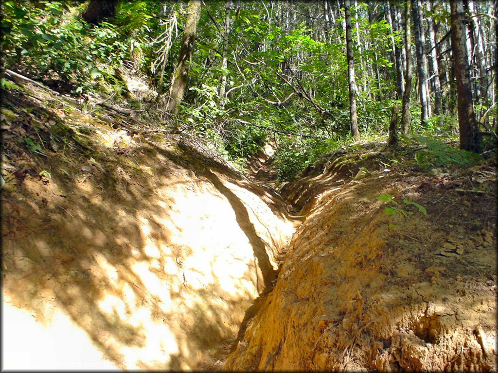 Some terrain at Low Pass Trail