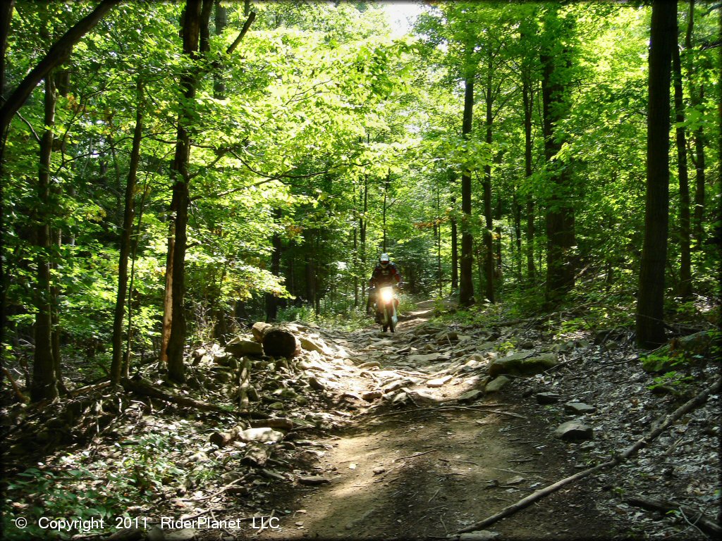 Tall Pines ATV Park Trail