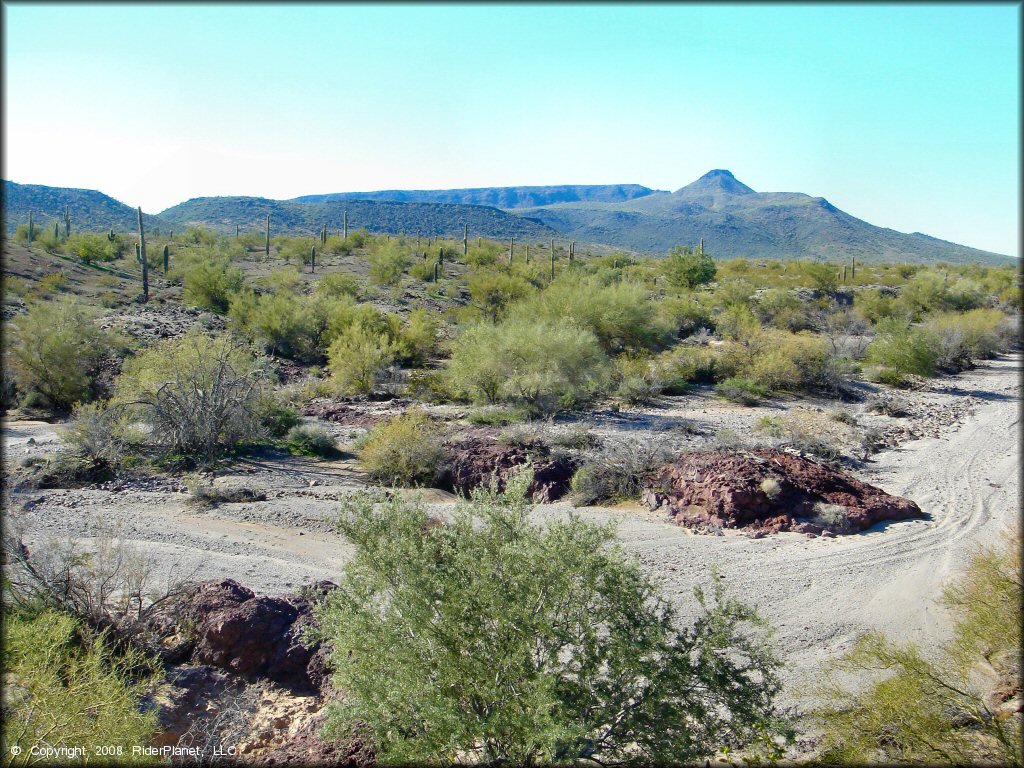 Top down view of sand wash surrounded by saguaro cactuses and scrub brush.