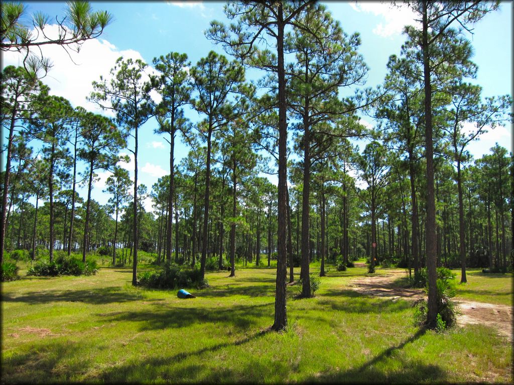 Redneck Mud Park Trail