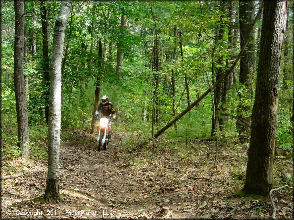 Honda CRF Motorbike at Franklin Trails