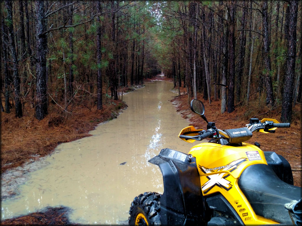 Can-Am Renegade ATV parked near deep mud puddle.