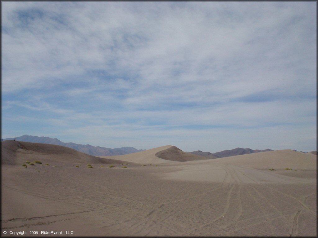 OHV at Amargosa Dunes Dune Area