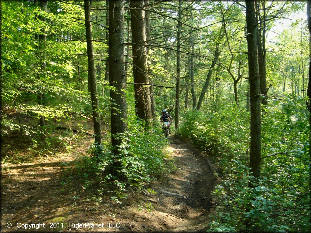 OHV at Freetown-Fall River State Forest Trail