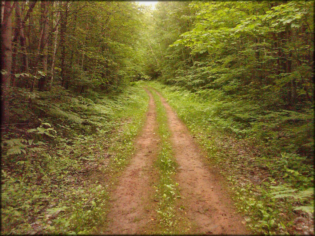 Nemadji State Forest Trail