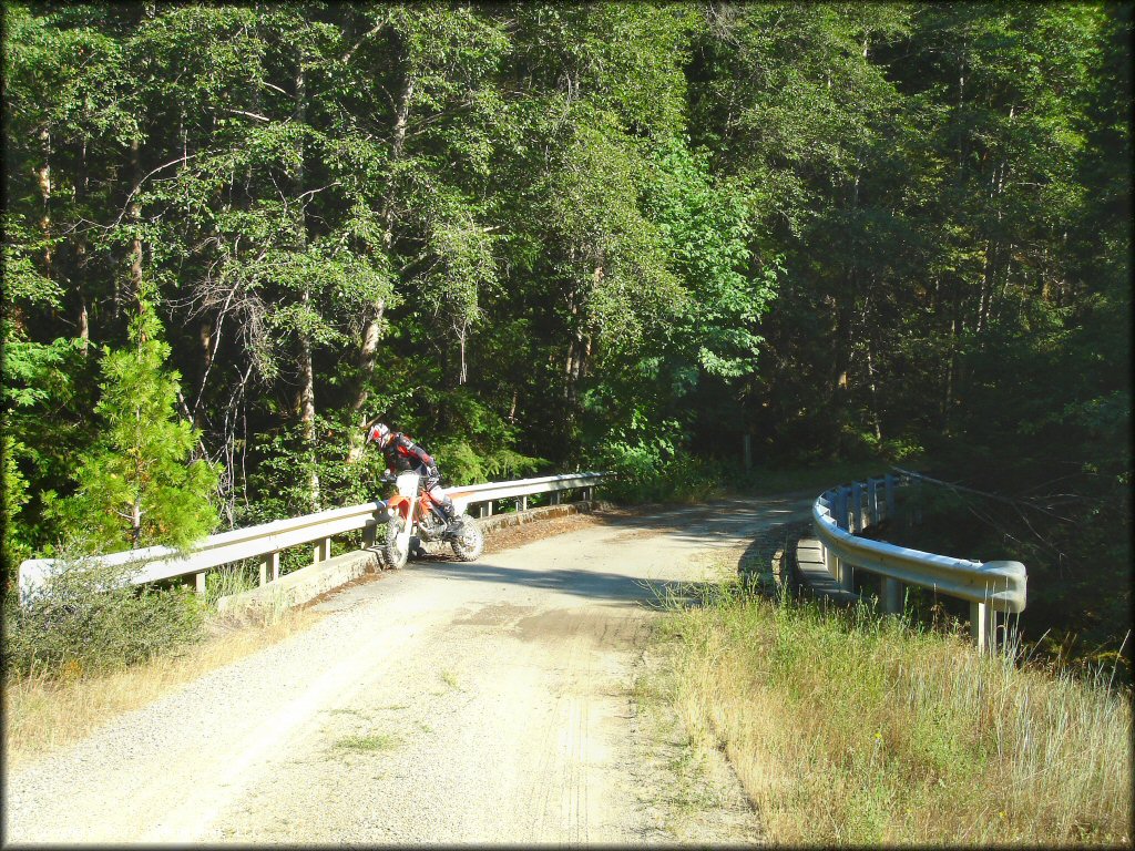 Honda CRF Dirt Bike at Lubbs Trail