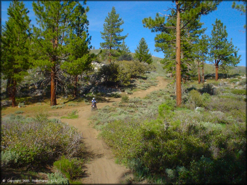 Bull Ranch Creek Trail