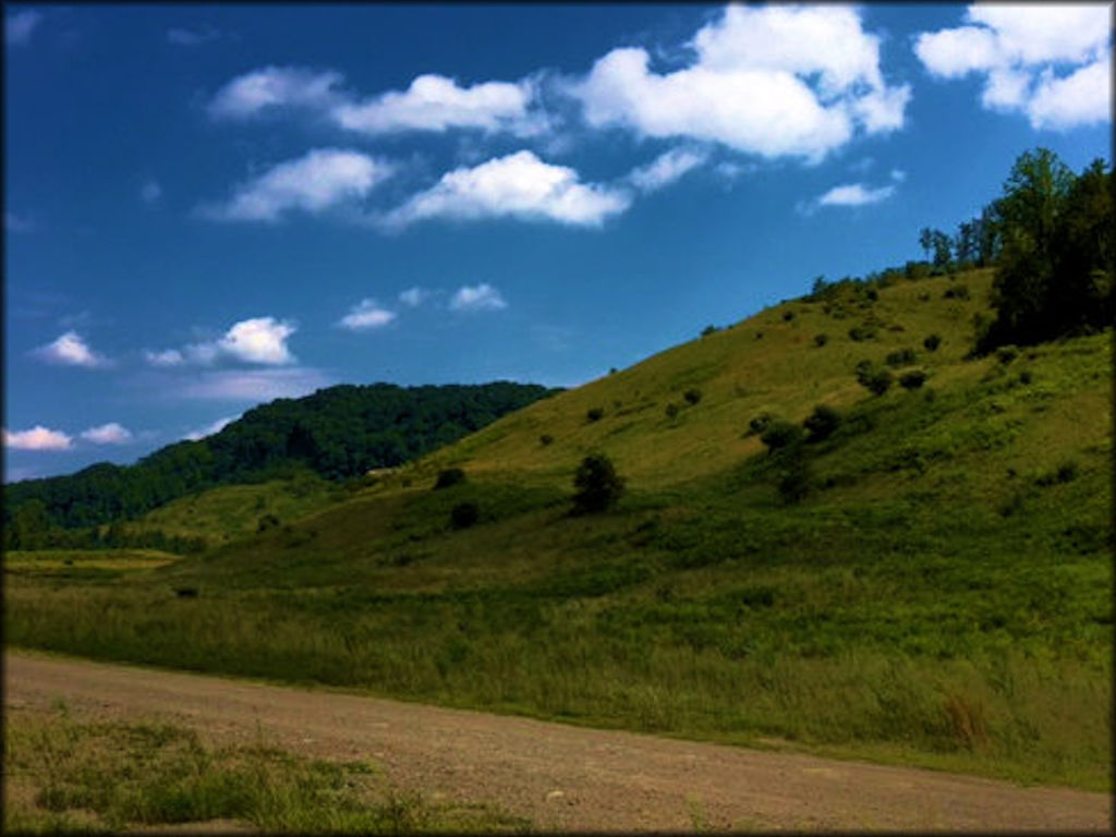 Hillside scenery view from a dirt road at Coal Canyon.