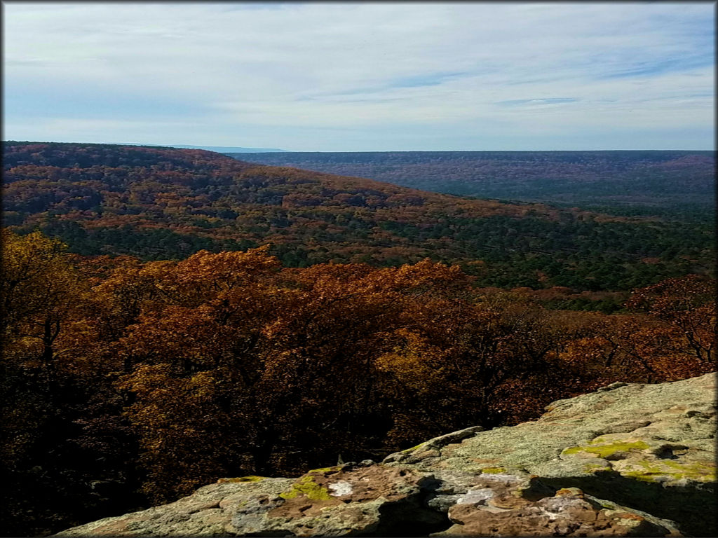 Huckleberry Mountain Horse Trail