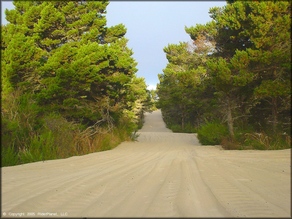 Terrain example at Oregon Dunes NRA - Florence Dune Area