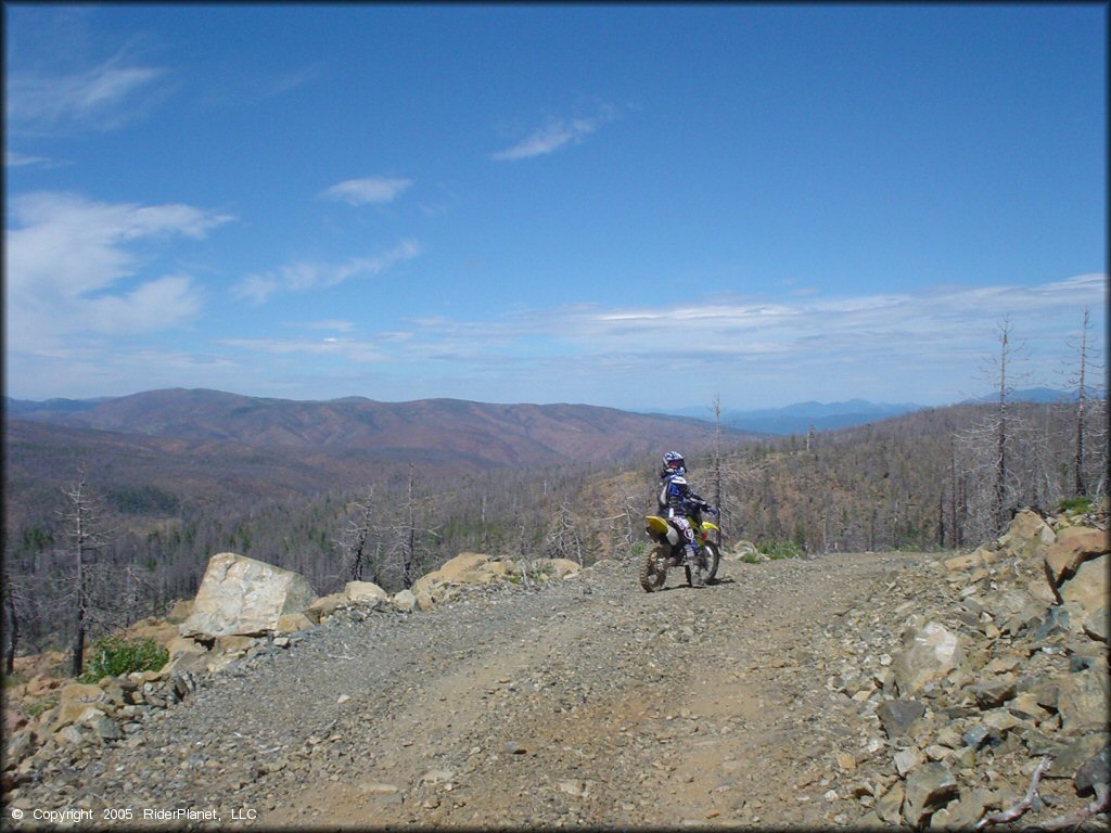 Forest scenery with Suzuki RM 100 two-stroke dirt bike.