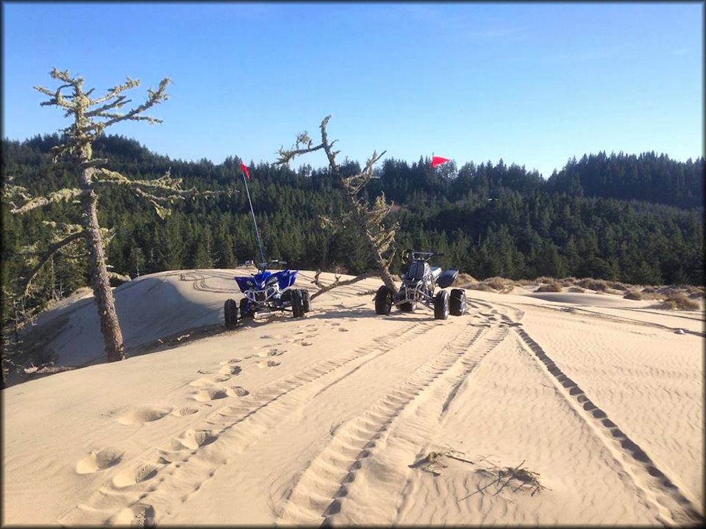 Umpqua Dunes OHV Area